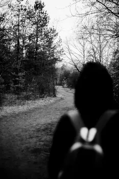 followed in the footsteps — следовали по стопам