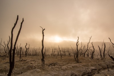 Barren — бесплодный