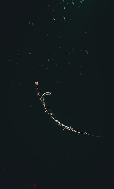 salient — ключевой