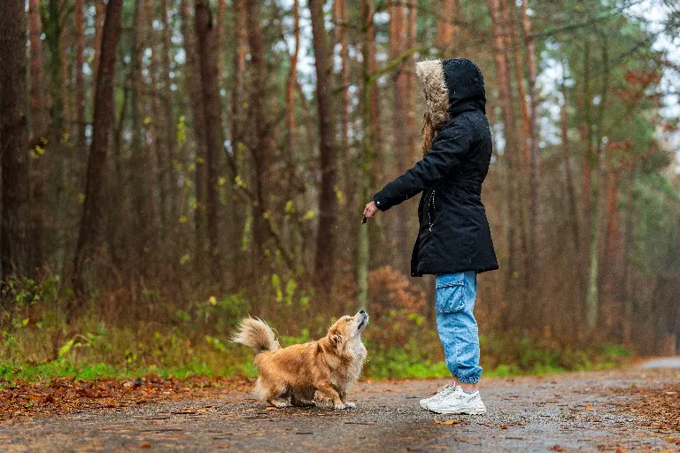 Ta on väga hästi kasvatatud — Она очень воспитанная