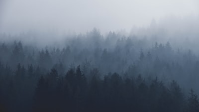 mist — дымка