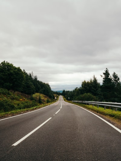 Lane — полоса