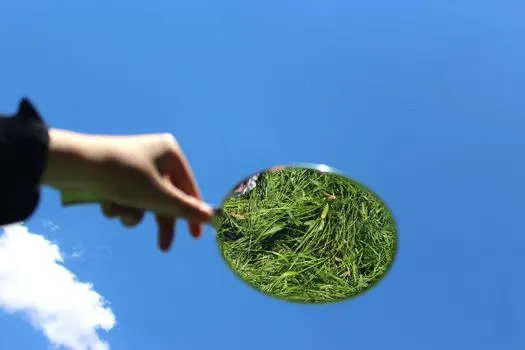 posmatrati — Отслеживать