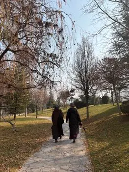 dar un paseo — гулять