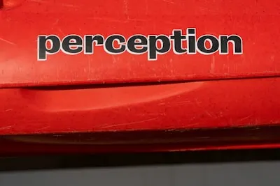 perceptions — восприятие