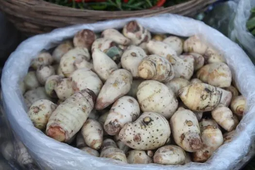 Kartoffeln — Картофель