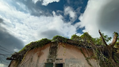 dilapidated — ветхий