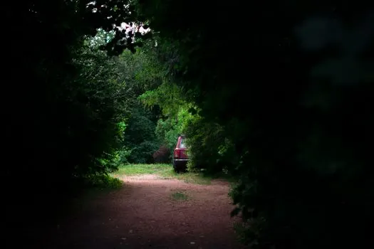 wander off into the woods — блуждать в лесу