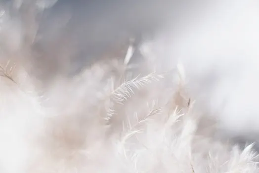 Feathery skirts — юбки из перьев