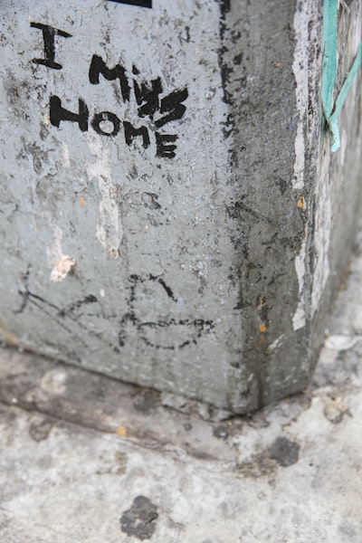 Ich bin zu Hause — Я дома