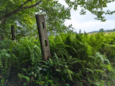 fencepost — столб забора