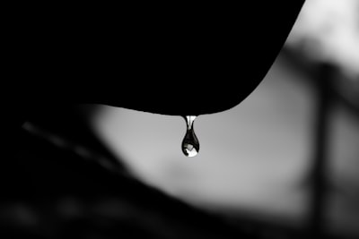 dropped — уронил