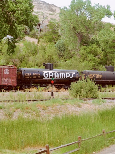 Gravy train — кормушка