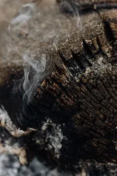 woodsmoke — Дым от древесины