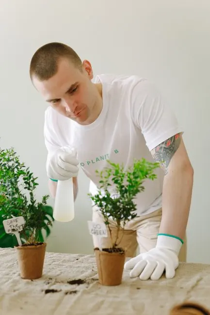 have plants — завести растения