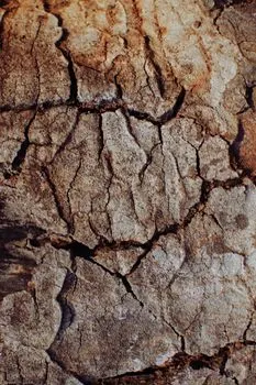 cracks — Трещины