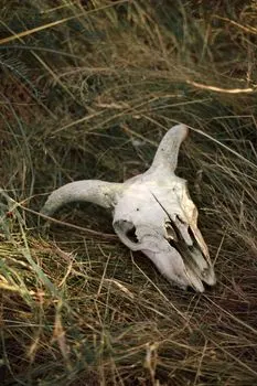 as dead as a doornail — без признаков жизни