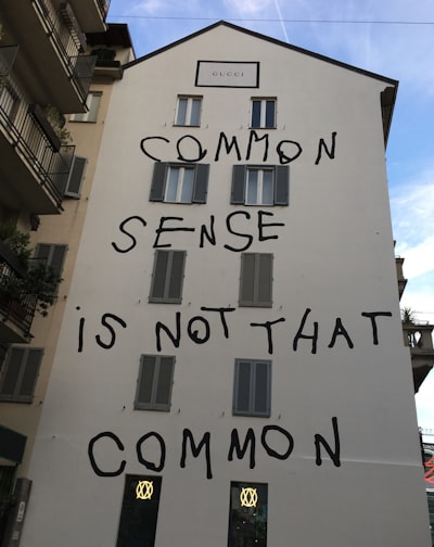 common sense — здравый смысл