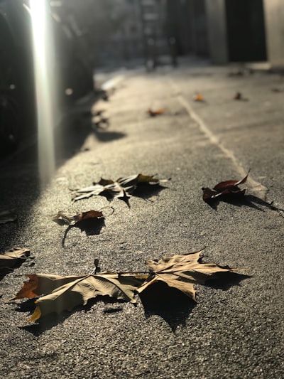 fall apart — разваливаться
