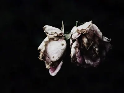 decayed — разрушенный