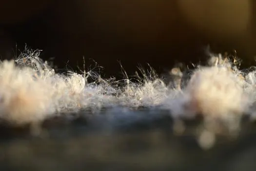 Fluff — Пух