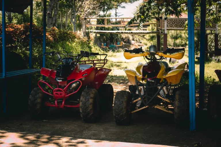 quad bike rental — прокат квадроциклов