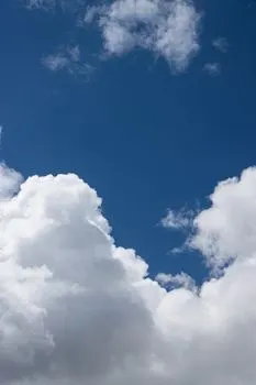 Couldn’t keep my eyes off — Не мог оторвать глаз.