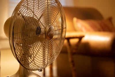 Fan — фанат