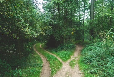 cross the path — перейти дорогу