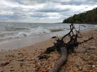 Flotsam — плавучие обломки
