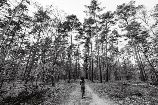 stimmt — верно