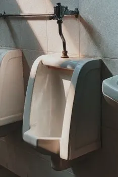 Flush — промывать