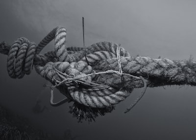Immersed — погружённый