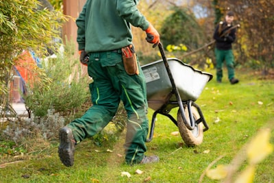 landscaping — ландшафтный дизайн