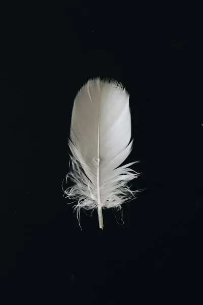 feathered — пернатый