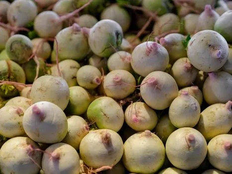 Turnip — Репа