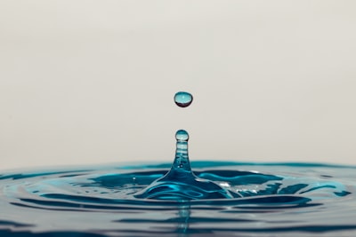 hydrated — напоённый влагой