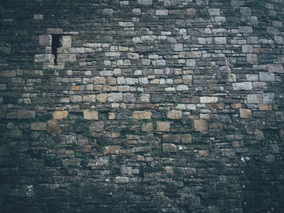 castle wall — стена замка