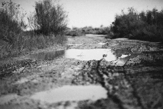 Bog — Болото