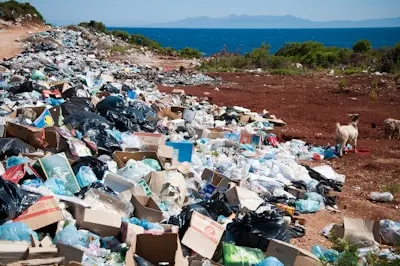 dump waste — сбрасывать отходы