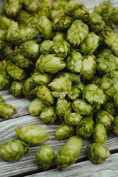 Hopfen — хмель