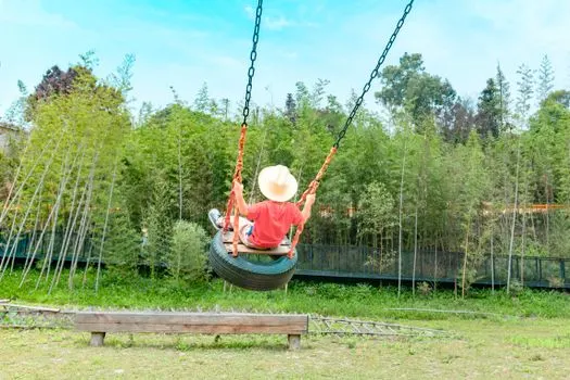 Swings — Качели