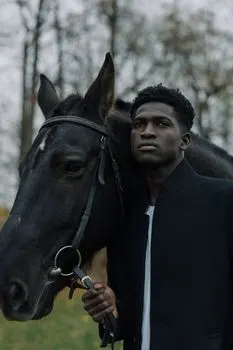Black stallion — черный жеребец