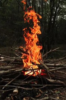 Torched — Сожженный