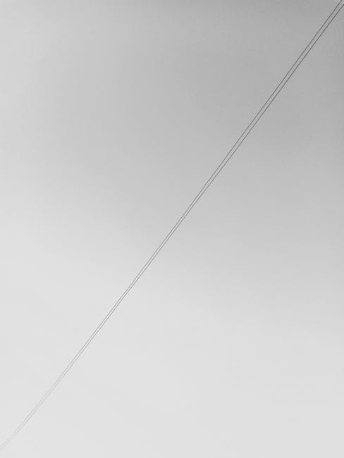 linia — линия