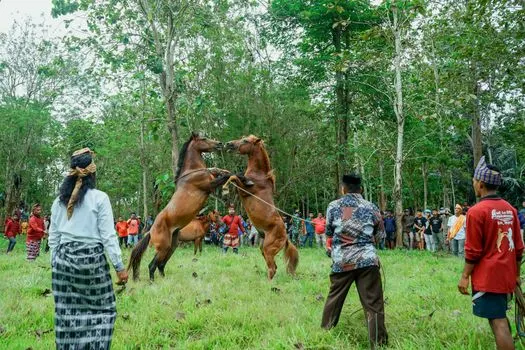 Valuable horse breeding — Ценное коневодство