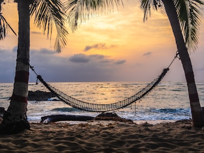 hammock — гамак