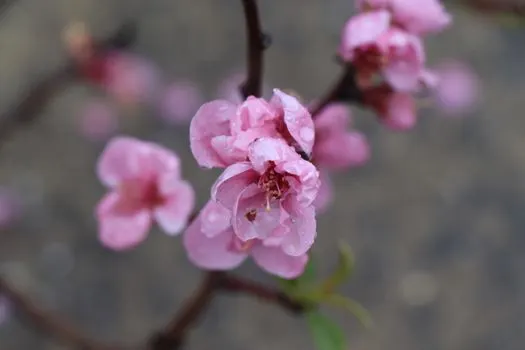april — апрель