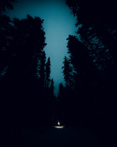 tief — глубокий