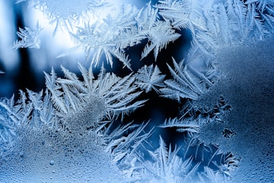 to defrost — размораживать